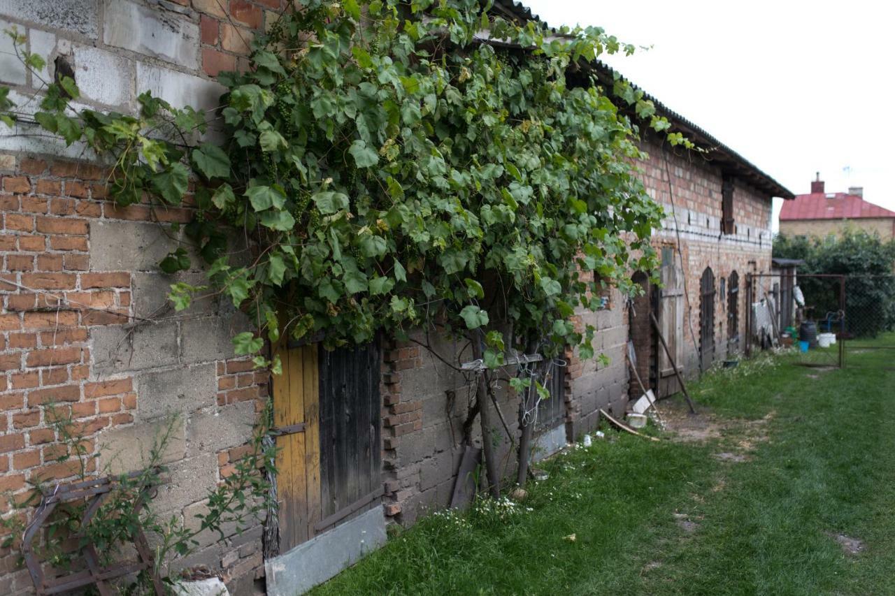 Agroturystyka Karpińscy Wizna Zewnętrze zdjęcie